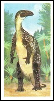 22 Iguanodon